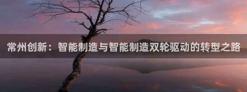 恒行2褚74OOO5：常州创新：智能制造与智能制造双轮驱动的