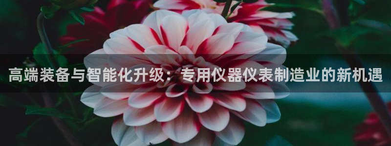 恒行娱乐5ll533主管优雅：高端装备与智能化升级：专用仪器