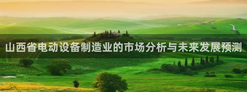 恒行2冯74OOO5：山西省电动设备制造业的市场分析与未来发