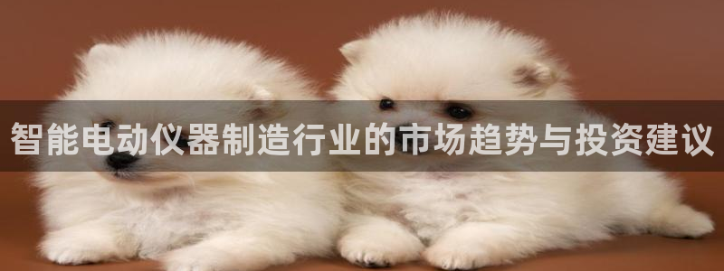 恒行娱乐景74ooo5诿抢：智能电动仪器制造行业的市场趋势与