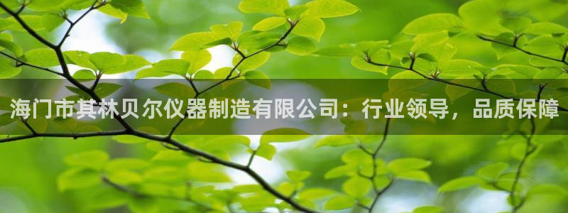 恒行娱乐寻问74 5：海门市其林贝尔仪器制造有限公司：行业领
