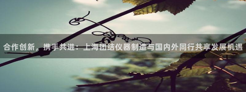 恒行2地74OOO5：合作创新，携手共进：上海团结仪器制造与