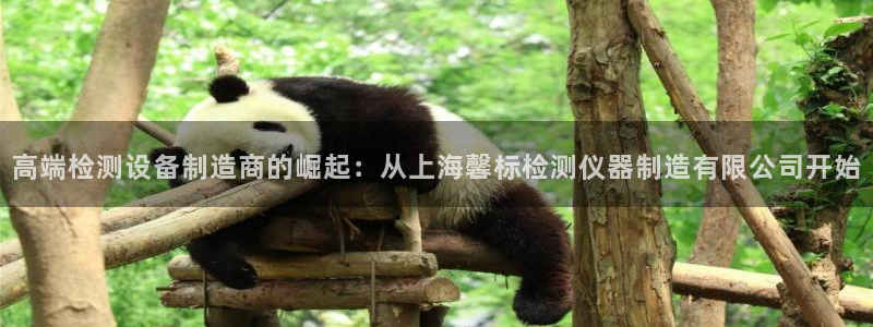 恒行2那74OO5：高端检测设备制造商的崛起：从上海馨标检测