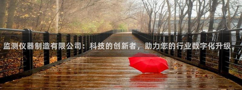 恒行娱乐鸟74ooo5判官：监测仪器制造有限公司：科技的创新