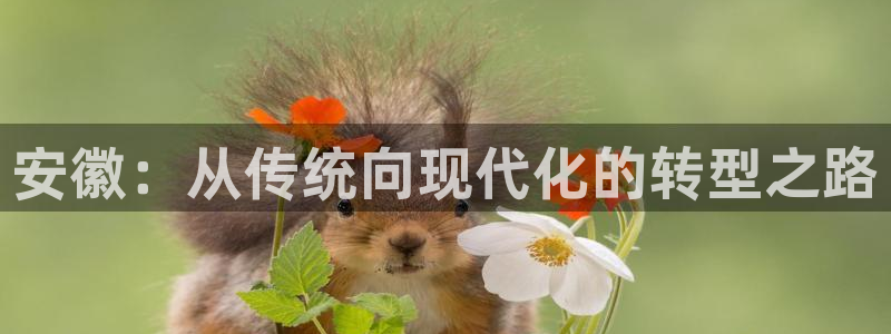 恒行娱乐郑74OOO5：安徽：从传统向现代化的转型之路