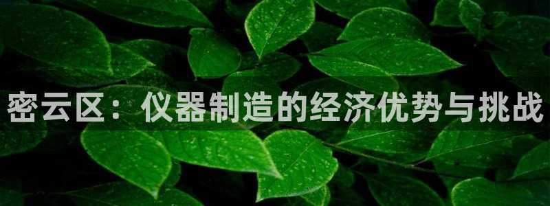恒行2沈74OOO5：密云区：仪器制造的经济优势与挑战