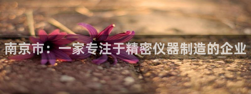 恒行娱乐蒋74OOO5：南京市：一家专注于精密仪器制造的企业