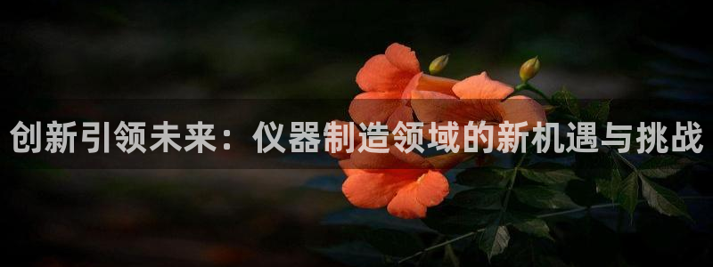 恒行2沈74OOO5：创新引领未来：仪器制造领域的新机遇与挑