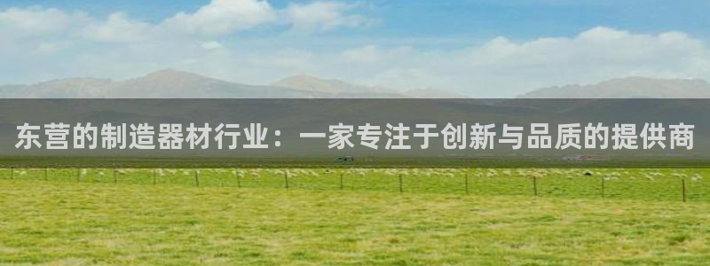 恒行娱乐卫74OOO5：东营的制造器材行业：一家专注于创新与