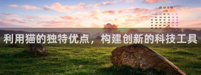 恒行2下74OOO5：利用猫的独特优点，构建创新的科技工具