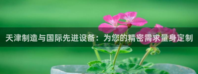 恒行2那74OO5：天津制造与国际先进设备：为您的精密需求量