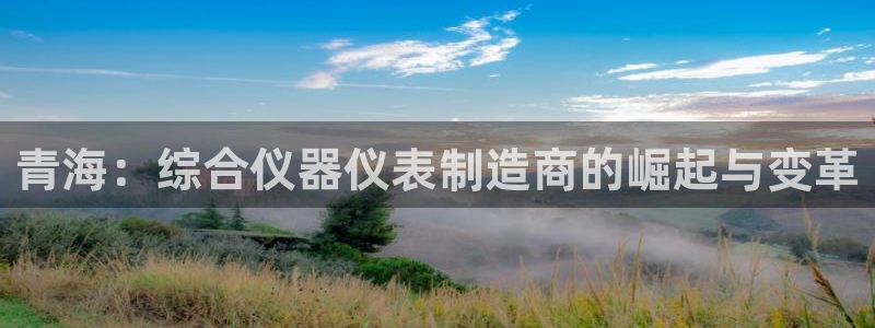 恒行登录老大6ll5l典型：青海：综合仪器仪表制造商的崛起与