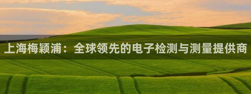恒行娱乐芍皇74ooo5蛹：上海梅颖浦：全球领先的电子检测与