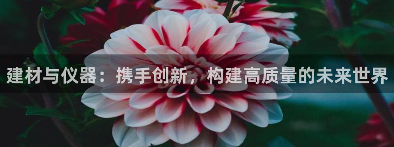 恒行主管招收 6ll5l出奇：建材与仪器：携手创新，构建高质