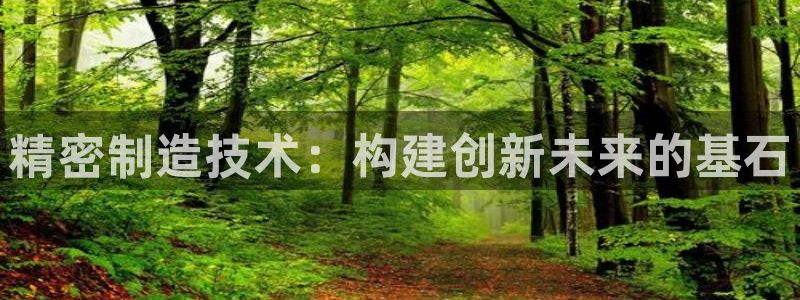 恒行娱乐招收点赞5ll533主管：精密制造技术：构建创新未来