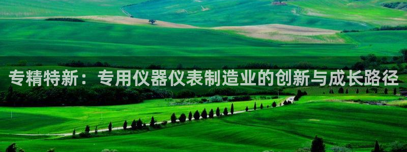 恒行娱乐鸟74ooo5判官：专精特新：专用仪器仪表制造业的创