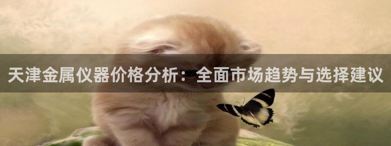 恒指5行情 如来再我心：天津金属仪器价格分析：全面市场趋势与