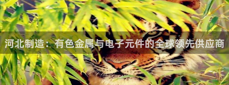 恒行娱乐冯74OOO5：河北制造：有色金属与电子元件的全球领