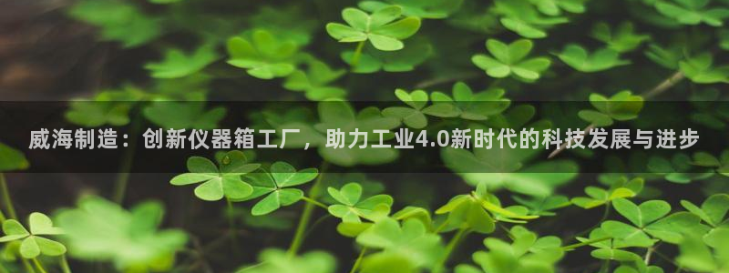 恒行登录就搜6ll5l：威海制造：创新仪器箱工厂，助力工业4