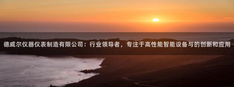 恒行2乃5O6917：德威尔仪器仪表制造有限公司：行业领导者