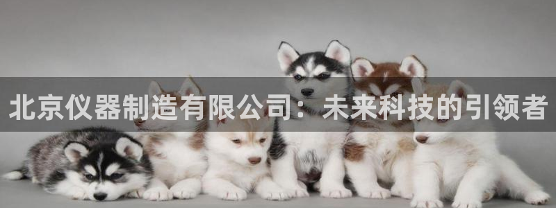 恒行注册全2O5O5O：北京仪器制造有限公司：未来科技的引领