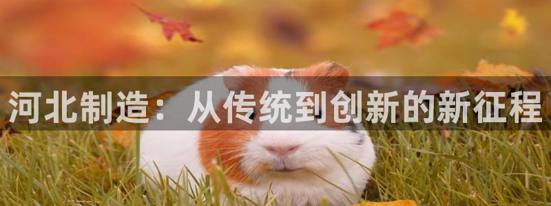 恒行2周74OOO5：河北制造：从传统到创新的新征程