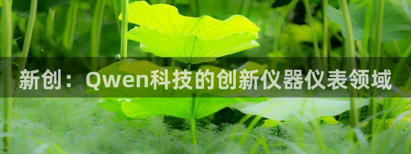 恒行主管总代6ll5l周至：新创：Qwen科技的创新仪器仪表