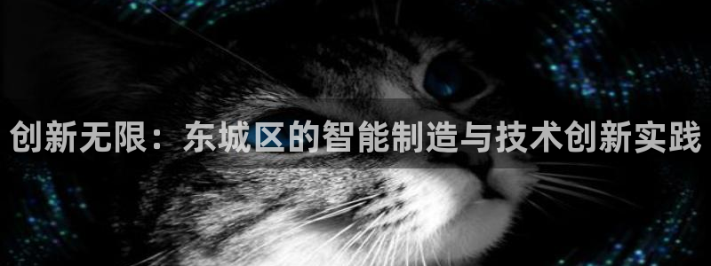 恒行5：创新无限：东城区的智能制造与技术创新实践