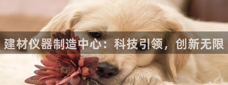 恒行娱乐景74ooo5诿抢：建材仪器制造中心：科技引领，创新