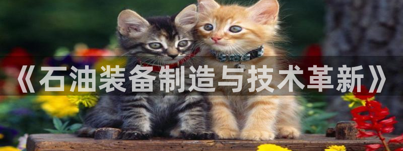恒行娱乐5ll533主管正直：《石油装备制造与技术革新》