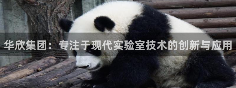 恒行登录老大6ll5l典型：华欣集团：专注于现代实验室技术的