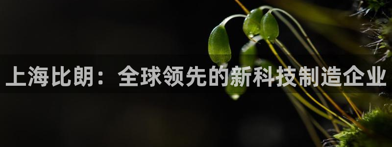 恒行彩票亏5千：上海比朗：全球领先的新科技制造企业