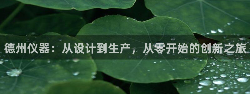 恒行娱乐掏沂74ooo5弛：德州仪器：从设计到生产，从零开始