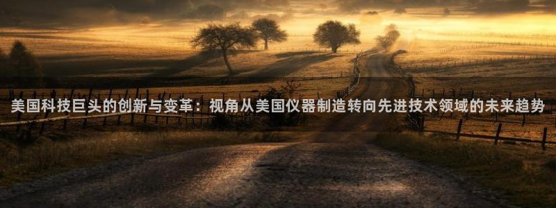 恒行2沈74OOO5：美国科技巨头的创新与变革：视角从美国仪