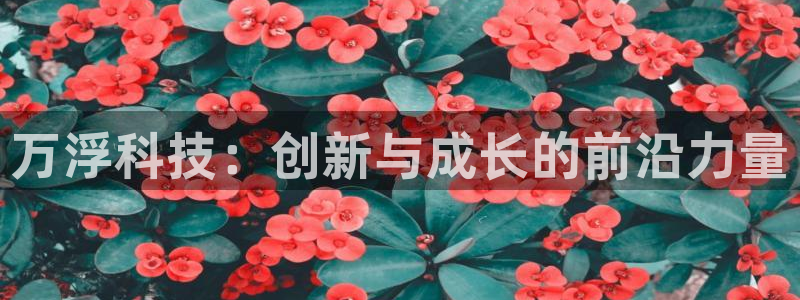 恒行娱乐蒋74OOO5：万浮科技：创新与成长的前沿力量