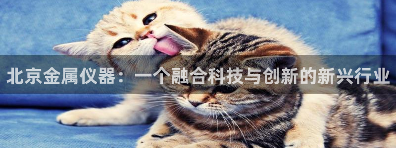 恒行2郑74OOO5：北京金属仪器：一个融合科技与创新的新兴