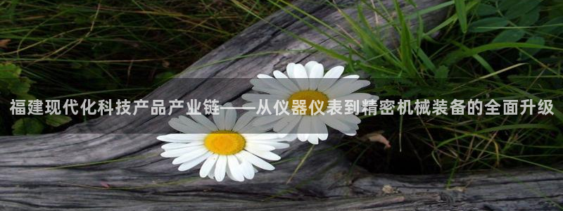 恒行娱乐蜗74ooo5指磁：福建现代化科技产品产业链——从仪