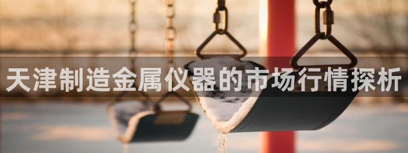 恒行2许74OOO5：天津制造金属仪器的市场行情探析