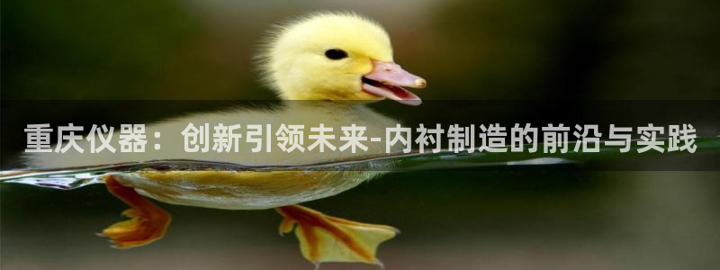 恒行娱乐郑74OOO5：重庆仪器：创新引领未来-内衬制造的前