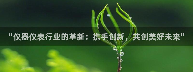 恒行娱乐蒋74OOO5：“仪器仪表行业的革新：携手创新，共创
