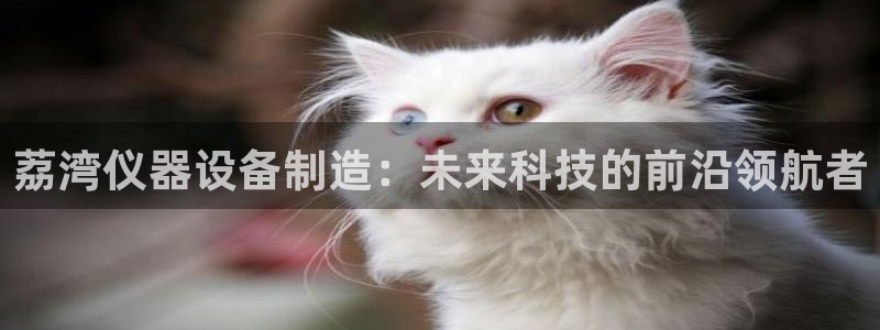 恒行登录老大6ll5l典型：荔湾仪器设备制造：未来科技的前沿