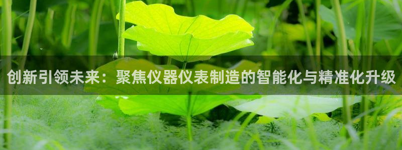 恒行开户娱乐赞议6ll5l：创新引领未来：聚焦仪器仪表制造的