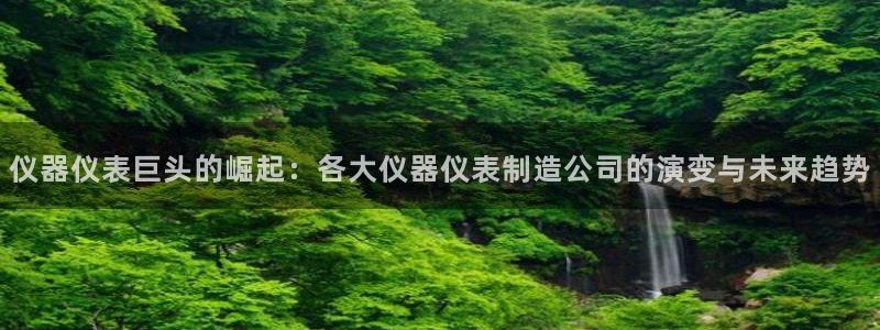恒行登录就搜6ll5l：仪器仪表巨头的崛起：各大仪器仪表制造
