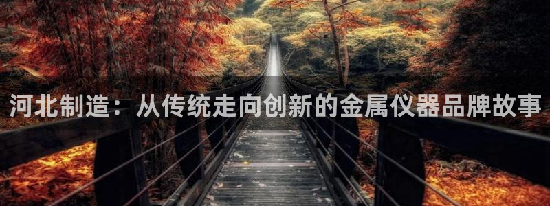 恒行2朱74OOO5：河北制造：从传统走向创新的金属仪器品牌