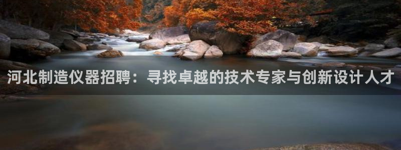 恒行娱乐5ll533主管优雅：河北制造仪器招聘：寻找卓越的技