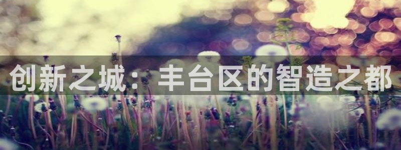 恒行2下74OO5：创新之城：丰台区的智造之都
