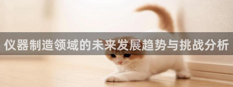 恒行2杨74OOO5：仪器制造领域的未来发展趋势与挑战分析
