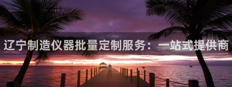 恒行开户全2O5o5O：辽宁制造仪器批量定制服务：一站式提供