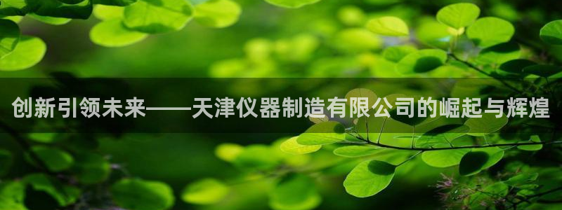 恒行娱乐河沂74ooo5程：创新引领未来——天津仪器制造有限
