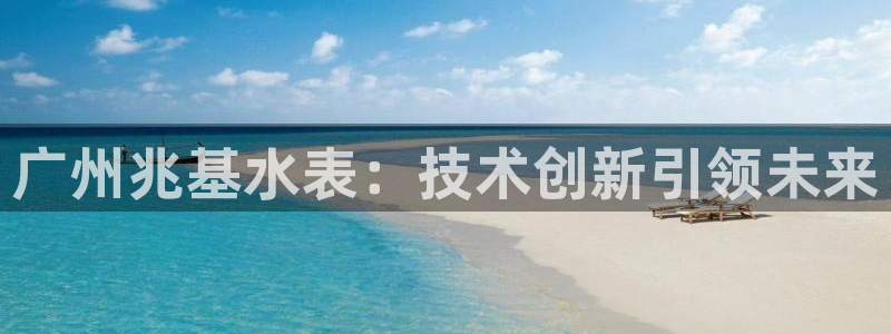 恒行娱乐周74OOO5：广州兆基水表：技术创新引领未来